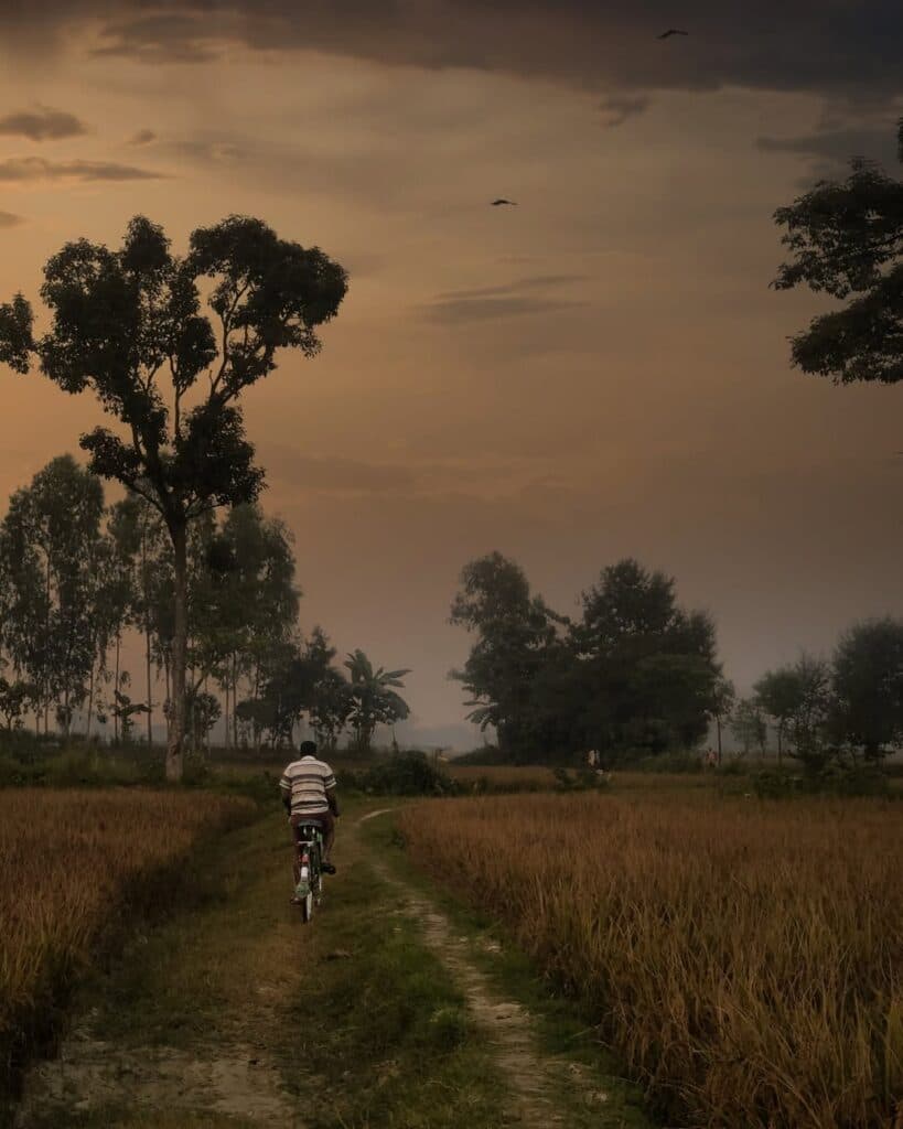 an old man on a cycle in a field on a gloomy evening