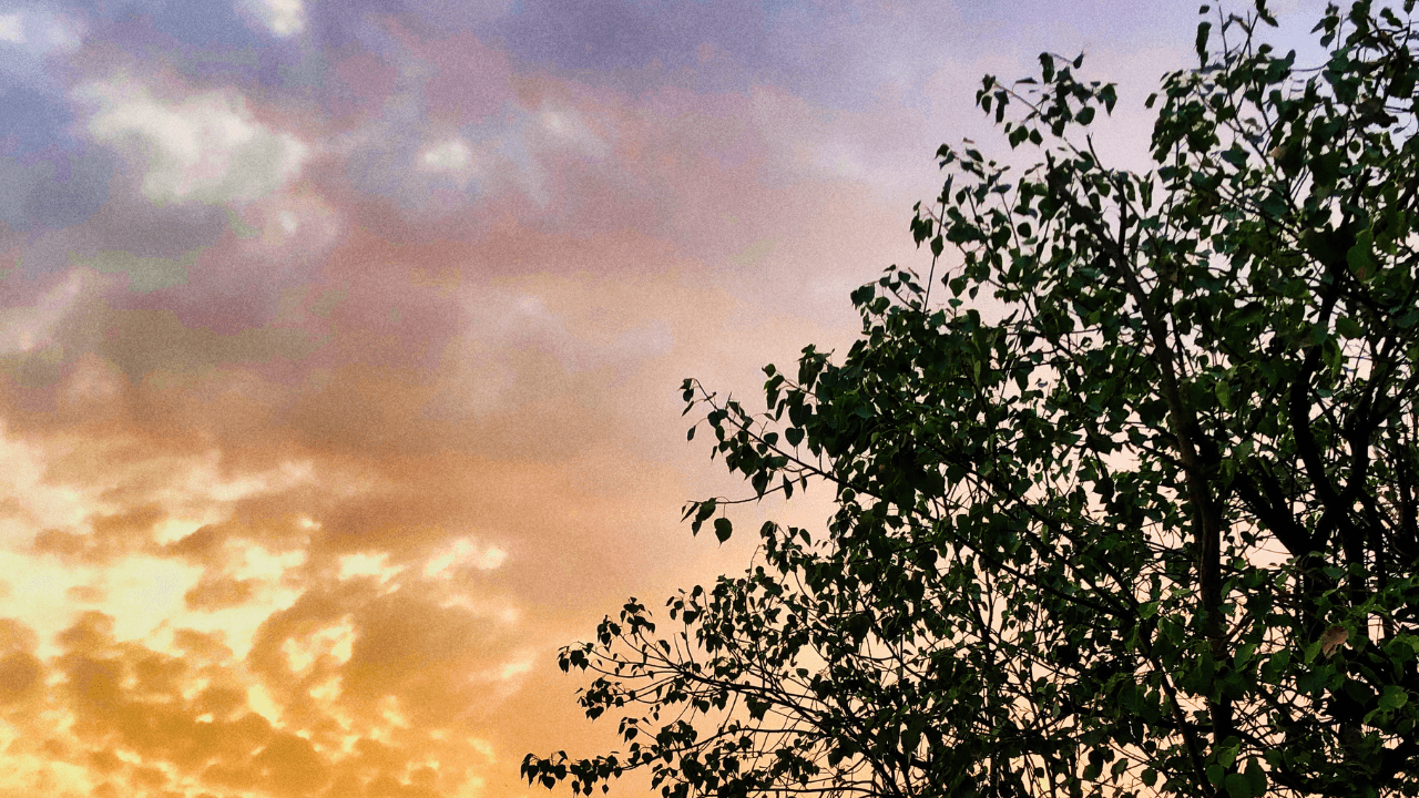 I tried waking up at 5AM every day